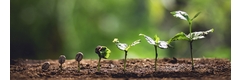 SeedGrants