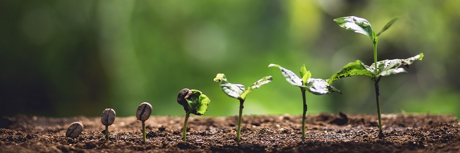 SeedGrants